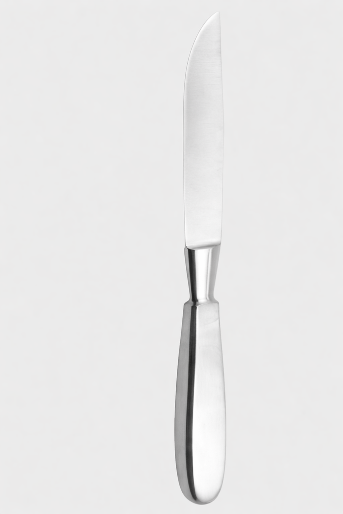[LFL-9197-12-ss] LANGENBECK navaja solapa hoja 12 cm