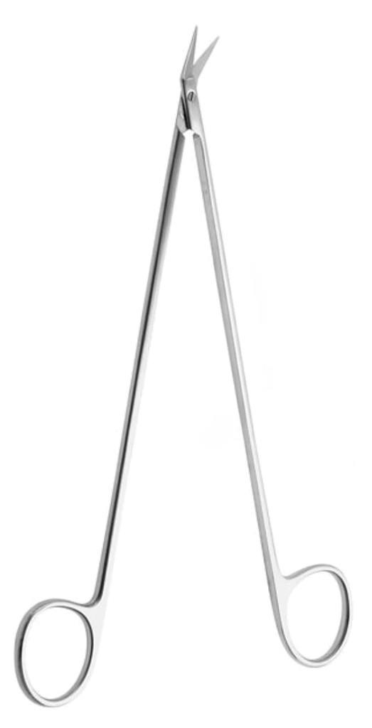 [DSF-9485-25-ss] Tijeras DIETHRICH 25°