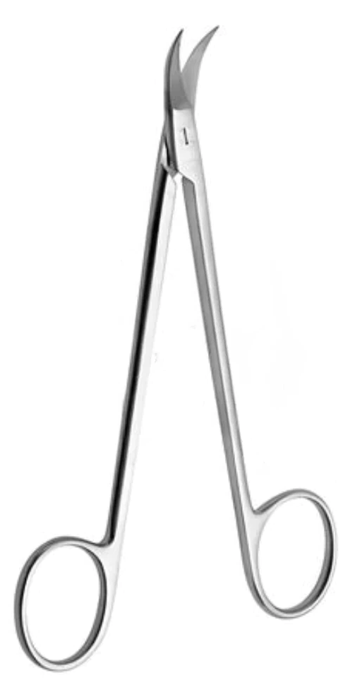 [QGU-9628-12-ss] Tijeras para encías QUINBY 12,5 cm