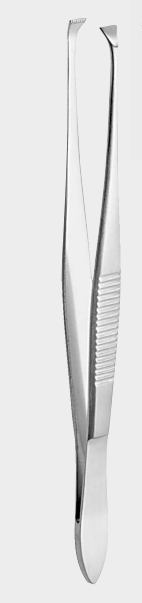 [GFB-9929-10-ss] Pinzas GRAEFE