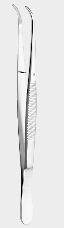Pinza TAYLOR dentada curva 17 cm