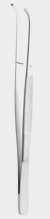 [TFB-9999-17-ss] Pinza TAYLOR 1 x 2 dientes 17 cm