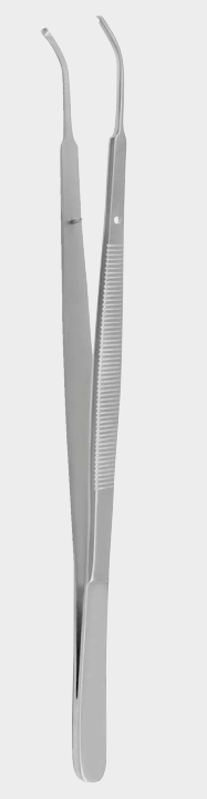 Pinza GERALD 1x2 t. curva 17 cm