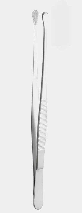 Pinzas WANGENSTEEN de 15 cm TC