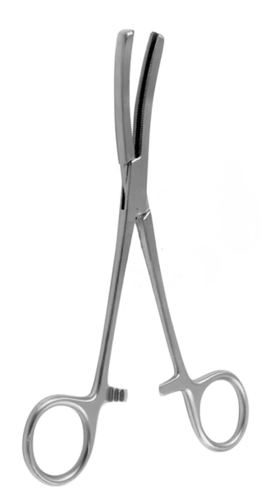 [FAB-10346-16-ss] Angiotribu FERGUSSON