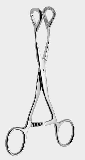 [CHH-10356-16-ss] Fórceps hemostático COLLIN fenestr.