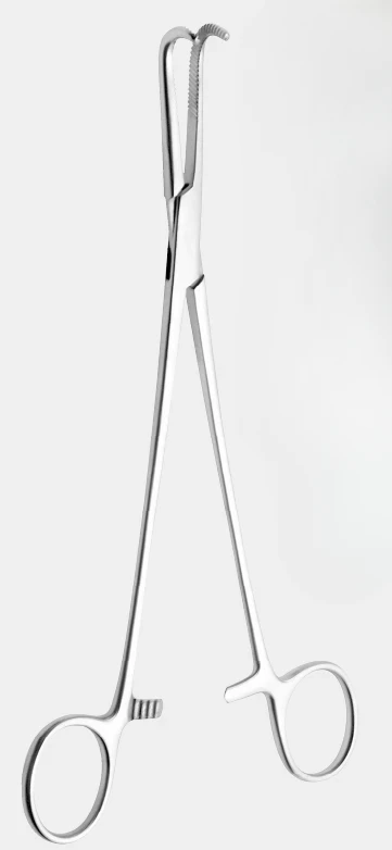 [NGA-10452-21-ss] Conducto biliar de NISSEN y fcps cístico.