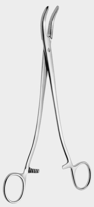 [SLC-10506-24-ss] Pinza de pinza SEGOND LANDAU 24 cm