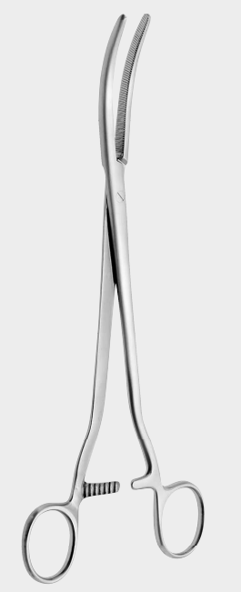 [FCL-10509-25-ss] Pinza de sujeción FAURE de 25 cm