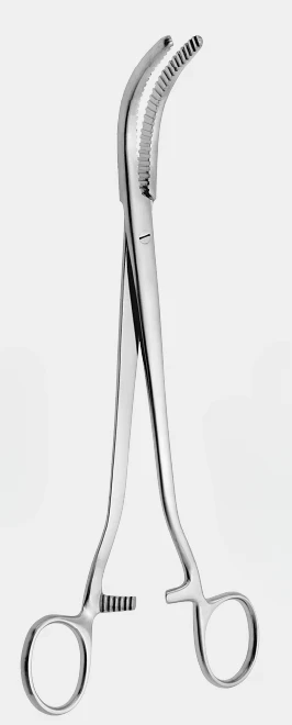 [WCL-10510-25-ss] Pinza de sujeción WERTHEIM de 25 cm