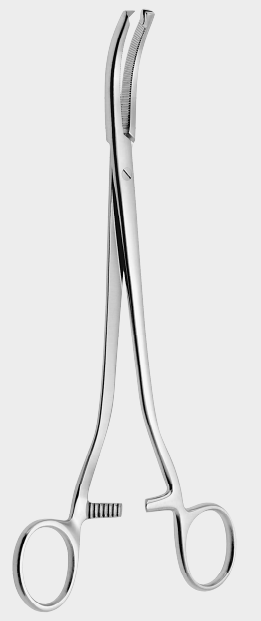 [WCL-10511-24-ss] Abrazadera WERTHEIM extra fuerte 24 cm