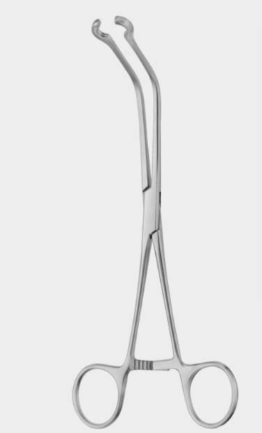 [JCL-10726-19-ss] Abrazadera JAVID Carotis larga