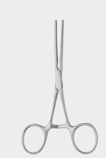 [CRI-10731-13-ss] Anillo COOLEY bulld.cl.cvd.13 cm