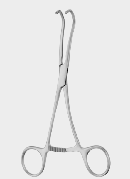 Minipinza CASTANEDA neonatal 15,5 cm