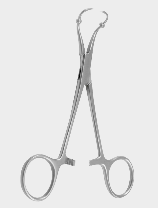 [RTO-10854-15-ss] Abrazadera para toallas ROEDER