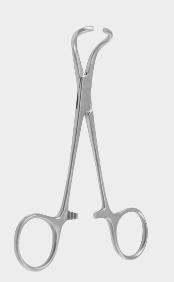 Pinza para toallas TOHOKU de 10 cm