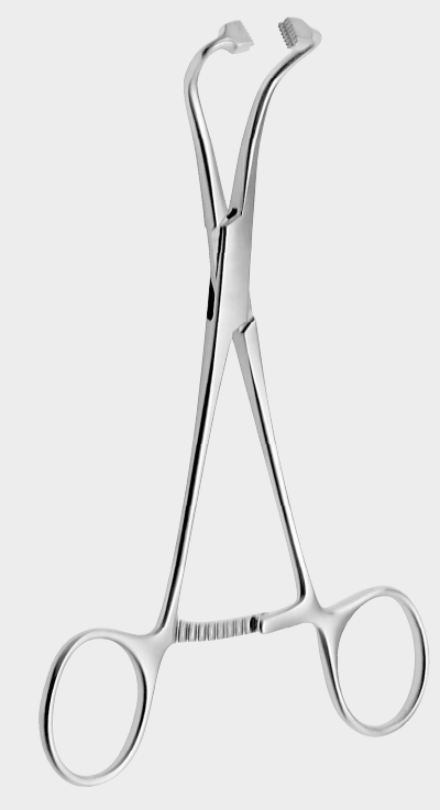 [PBE-10869-14-ss] Abrazadera para toallas PEERS BERTRAM