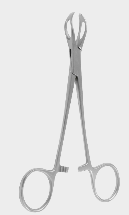 [LPA-10882-20-ss] Pinzas para toallas LANE (PAUCHET)