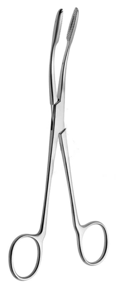 [GMA-10894-26-ss] Pinzas de esponja sin pestillo GROSS MAIER