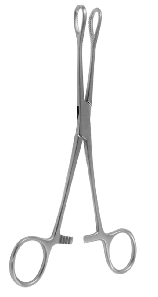 [FSW-10925-25-ss] Pinzas para hisopos FOERSTER dentadas