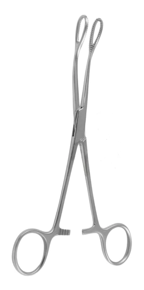 Pinzas para hisopos FOERSTER dentadas