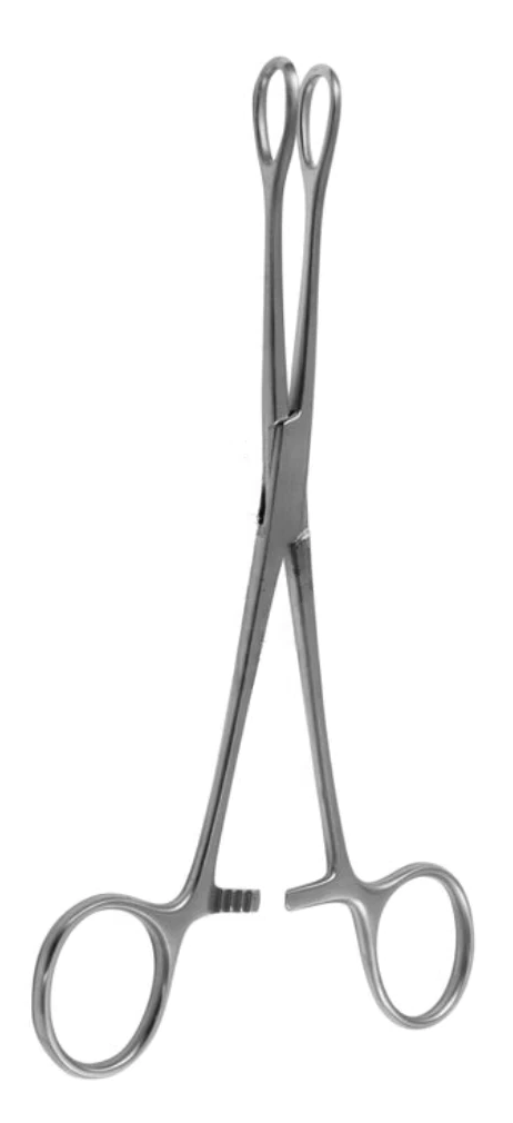 [FSW-10932-25-ss] Pinzas para hisopos FOERSTER lisas