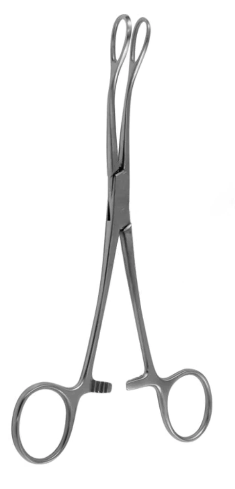 [FSW-10935-25-ss] Pinzas para hisopos FOERSTER lisas