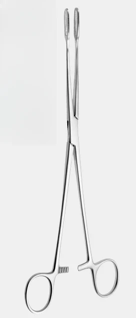 [FJA-10944-25-ss] FLETCHER (JAVERTS) esponja fcps