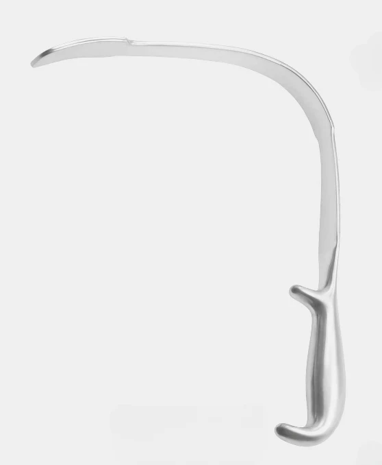 Espátula de pulmón 26 cm 205x29 mm