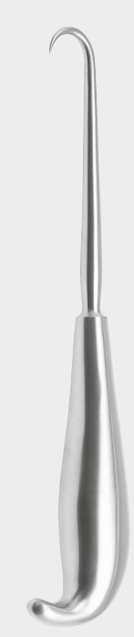 Gancho de hueso 9,5 mm 23 cm