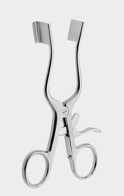 WEITLANER bebé retr. hoja completa