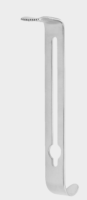 [HBL-11584-19-ss] Hoja HENLY 19x16 mm 12 cm