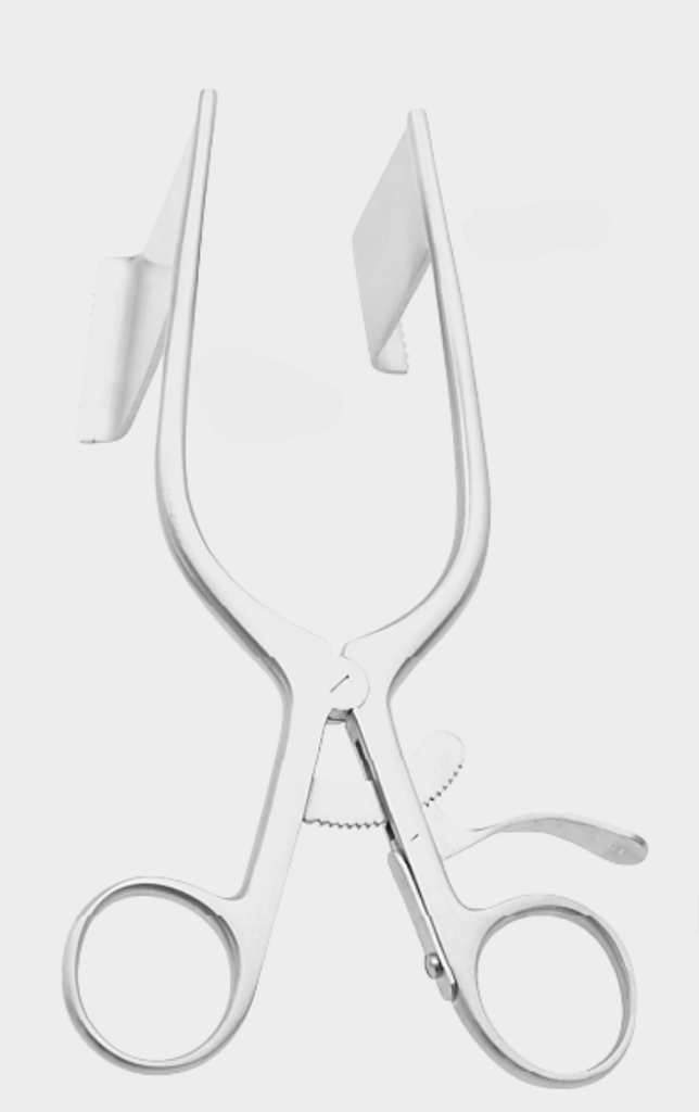 [DSO-11625-18-ss] Esparcidor DARLING