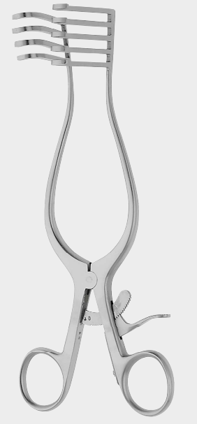 [NAN-11633-21-ss] NORFOLK y NORWICH retr. 22 cm