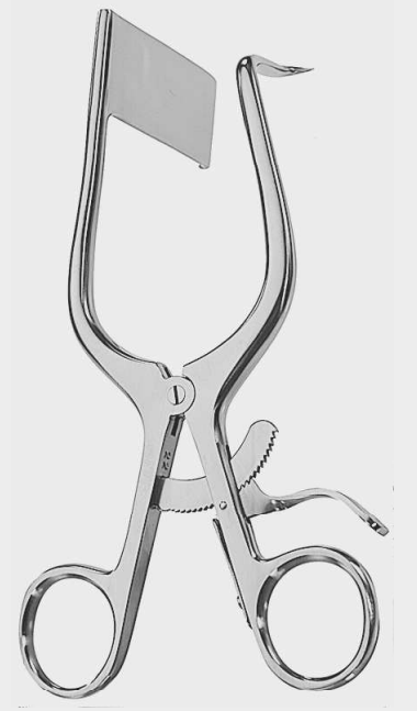 [MME-11648-18-ss] MARKHAM MEYERDING retractilado a la derecha