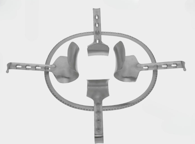 [KAB-11787-00-ss] KIRSCHNER y ret. ovalada completa.