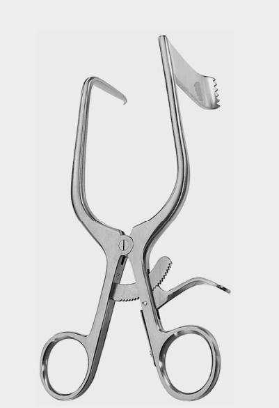 [WRJ-11913-70-ss] Hoja retráctil WILLIAMS 2 cm/7 cm izquierda