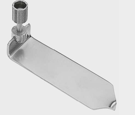 [TBL-11962-01-ss] Hoja TAYLOR 75 x 32 mm