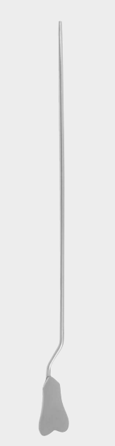 MOMARIA DE LOCKHART director fg.1 16,5 cm