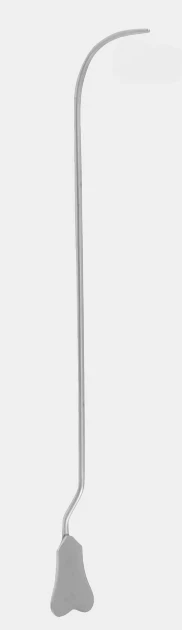 MOMARIA DE LOCKHART director fg. 3 12,5 cm