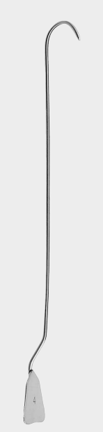 MOQUETA DE LOCKHART director fg. 4 12,5 cm