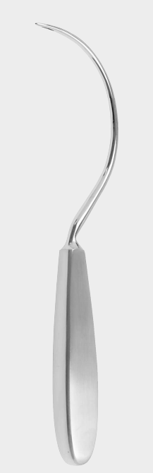 [JHC-12433-18-ss] Aguja hueca JONESCO 18,5 cm