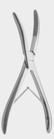 Molde para yeso WOLFF de 18 cm