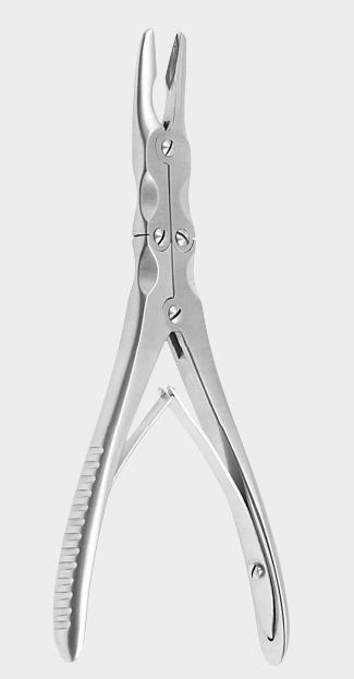 [KKU-12726-15-ss] Gubias KLEINERT KUTZ