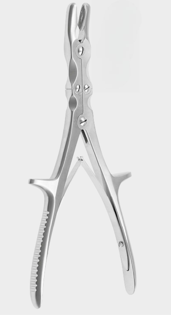 STILLE RUSKIN gubias curvas