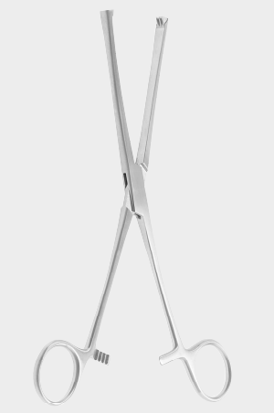 [BBK-12857-20-ss] BIRCHER - Fuerza de sujeción de hueso, 20 cm