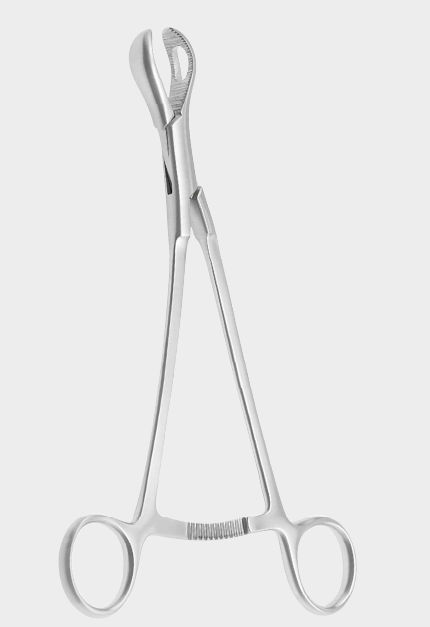 Pinza de sujeción de huesos BURNS 18,5 cm