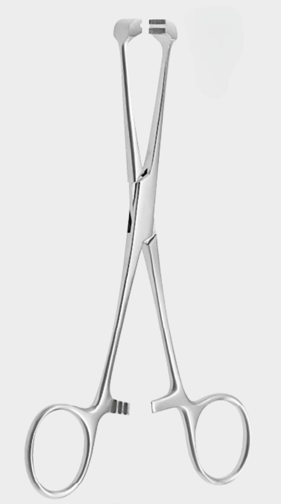 [STD-12923-16-ss] Pinzas para tensar tendones STEINMANN