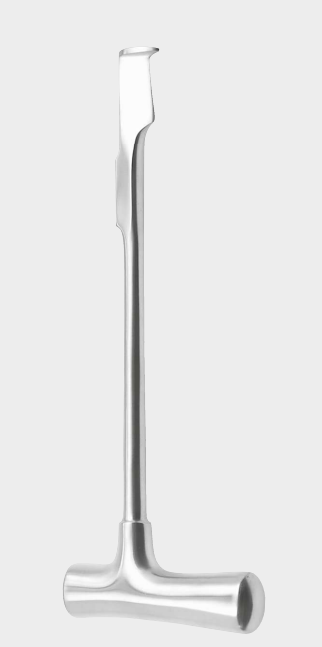 Cincel de esternón LEBSCHE 24,5 cm