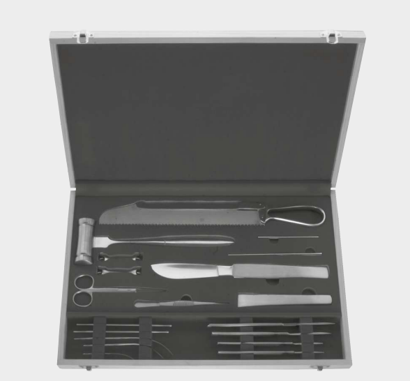 [PMB-13445-00-ss] Conjunto post mortem